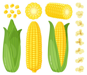 Cartoon corn. Maize vegetables, golden sweet corn cob, popcorn and corn grains, rich agriculture harvest vector illustration set. Organic food, hulled product and with husk isolated on white