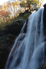 beautiful colorful autumn leaves over the fall / 裏見の滝と周辺の紅葉