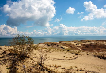 Fototapeta na wymiar Lithuanian dunes