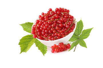 Red currants in the bowl with sprigs isolated on white