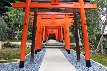 Fototapeta na wymiar Line of orange torii gates at inari jinja of at Suwa Shrine in Nagasaki.