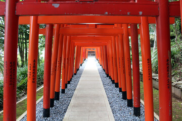 Line of orange torii gates at inari jinja of at Suwa Shrine in Nagasaki.