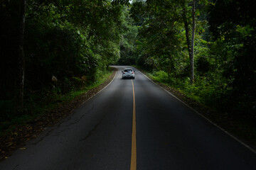 Fototapeta na wymiar Road in Khao Yai National Park in Thailand