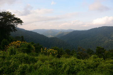 Fototapeta na wymiar View from view point in Khao Yai National Park, Thailand