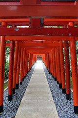 Fototapeta na wymiar Line of orange torii gates at inari jinja of at Suwa Shrine in Nagasaki.