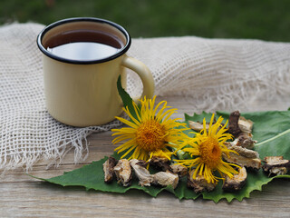 Root, yellow flowers of the medical plant inula helenium and a drink on a wooden table in the garden. Useful herb elecampane inula for use in medicine, folk therapy and cosmetology
