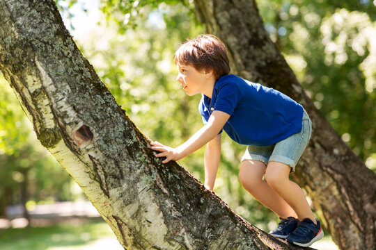 childhood, leisure games and people concept - happy little boy climbing tree at summer park