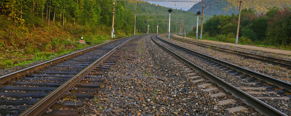 Railway tracks go into the forest after the rain

