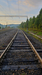 Fototapeta na wymiar Railway tracks go into the forest after the rain 