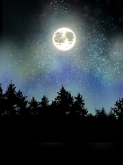 Fototapeta na wymiar Shining full moon over silhouette of northern forest 