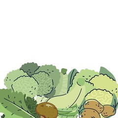 Variety Green Fresh  Vegetable