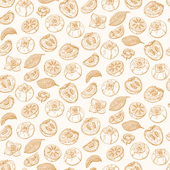 Persimmon, flowers and leaves pattern. Organic food, vector doodle hand drawn sketch style illustrations collection isolated on white background.	