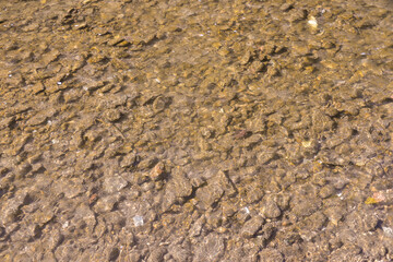 the water runs along the river and glistens in the sun in the autumn afternoon