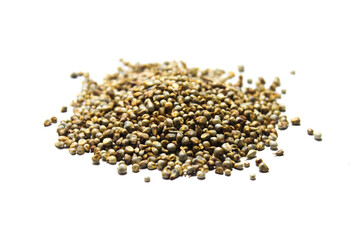 A picture of Pearl millet with selective focus