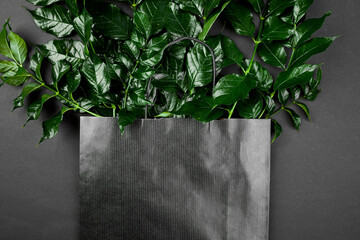 Mockup of black shopping bag on a dark background with green leaves, creative layout, flat lay, space for text, top view,  product banner, nature concept, black friday sale..