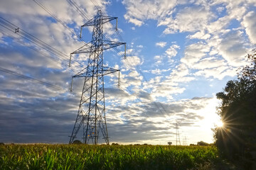 power lines in the field