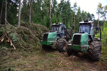 Fototapeta premium Crane forwarder machines at during clearing of a plantation. Wheeled harvester transports raw timber from the felling site out to a road for collection by a truck. Harvesters, forest Logging machines