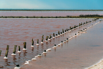 Remains of a wooden dam from salt mining. Pink lake Sasyk-Sivash .