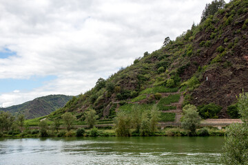 View of the Moselle, Rhineland-Palatinate Germany