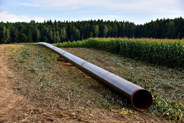 LNG pipeline construction project  for global exports of natural gas. Building of transit petrochemical pipe in forest area. Carry diluted bitumen and crude to international markets. Oil and gas
