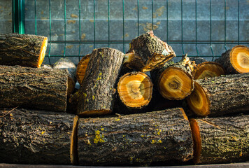 a stack of logs in the backyard