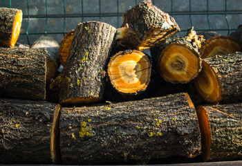 a stack of logs in the backyard