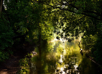 Fototapeta na wymiar Morning sun rays make their way through the green foliage of the trees. Haze over water on a lake or river. Nature or travel concept