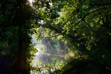 Morning sun rays make their way through the green foliage of the trees. Haze over water on a lake or river. Nature or travel concept