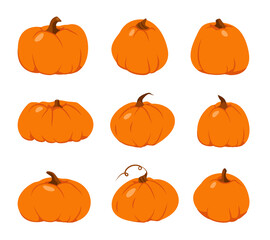 Autumn pumpkin flat icon set. Cartoon different shape orange gourd. Symbol Thanksgiving and Halloween. Gather farm harvest, season crop capacity. Ripe vegetable squash. Isolated vector illustration