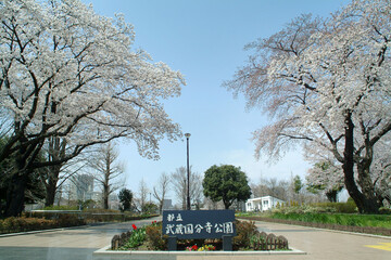 都立武蔵国分寺公園