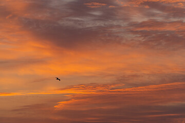 Fiery Clouds in the Sky at Sunrise