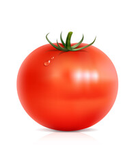 Tomato