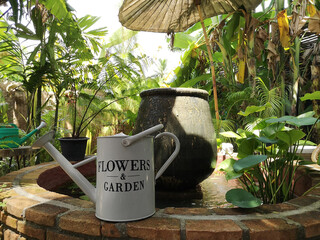 Watering plants in the outdoor garden