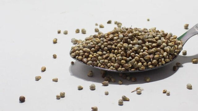 Pearl millet with selective focus