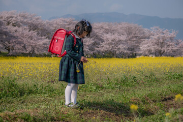 新一年生