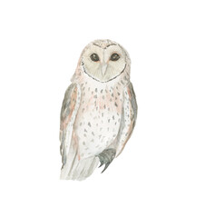 Watercolor painting a owl isolated on white