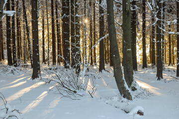 Winter Landscape Meissner Mountain Forest