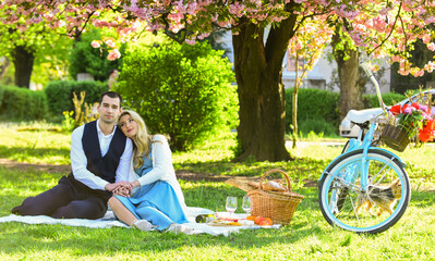 couple in love drinking wine during romantic dinner in park. picnic of couple in love at vintage bike. family relationship and friendship. summer holiday trip. girl and man under sakura