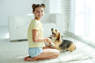 Child with a dog. Teenage girl with a beagle dog at home. High quality photo.