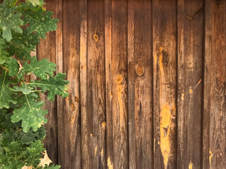 Brown textured background, wooden board and oak leaves