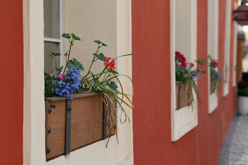Flowers tables and chairs of an outdoor cafe in europe