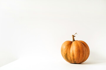 Raw fresh orange ginger pumpkin on white background. Minimal seasonal fall autumn food concept.