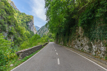 View of the road that runs through the Pass of Los Beyos in the Picos de Europa National Park in Asturias, Spain.