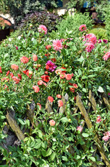 Bauerngarten nähe Chiemsee - Oberbayern