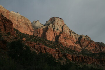 アメリカの早春のザイオンナショナルパーク