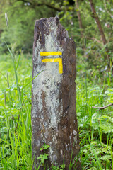 A 'turn left' direction indicator painted on a stone column for hikers.