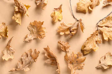 Fallen various golden oak leaves on beige background. Autumn pattern. View from above.