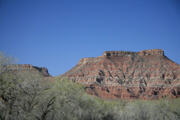 アメリカの早春のザイオンナショナルパーク