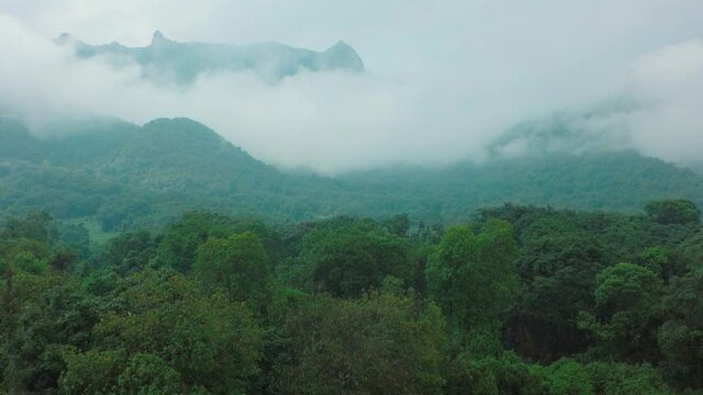 Scenic forest covered by dense clouds, Ethiopia