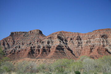 アメリカの早春のザイオンナショナルパーク